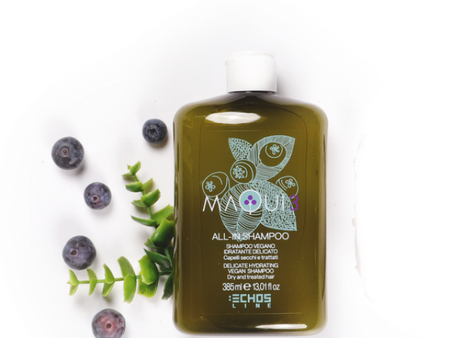 ECHOS ALL IN SHAMPOO 385 ML